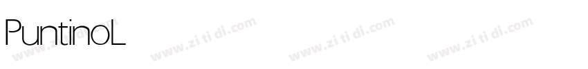 Puntino Light字体转换 Puntino Light字体转换